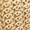 Kultige goldene Nano 1969 Tasche